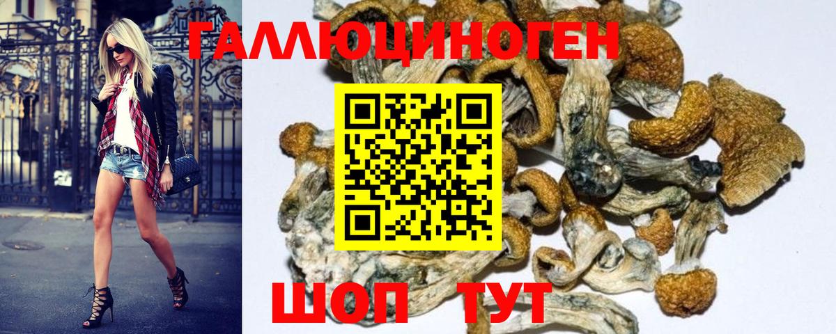 Галлюциногенные грибы Psilocybine cubensis  Вход с VPN  Коломна 